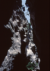 LEICA M3, SUMMICRON 2/50